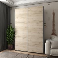 Шкаф купе G-Caiser 2 ДСП / 3 частини 160х60х240 ТМ Doros