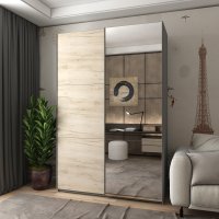 Шкаф купе G-Caiser 1 ДСП / 1 зеркало/ 3 частини 160х60х240 ТМ Doros